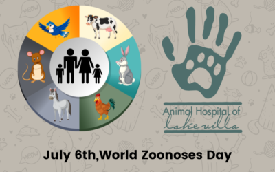 World Zoonoses Day: Protecting Humans and Pets from Animal-Transmitted Diseases