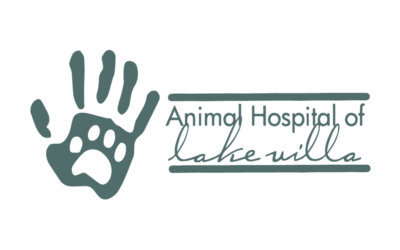 Update on Emerging Canine Respiratory Disease in Illinois