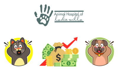 Navigating Veterinary Costs: The Rising Importance of Pet Insurance