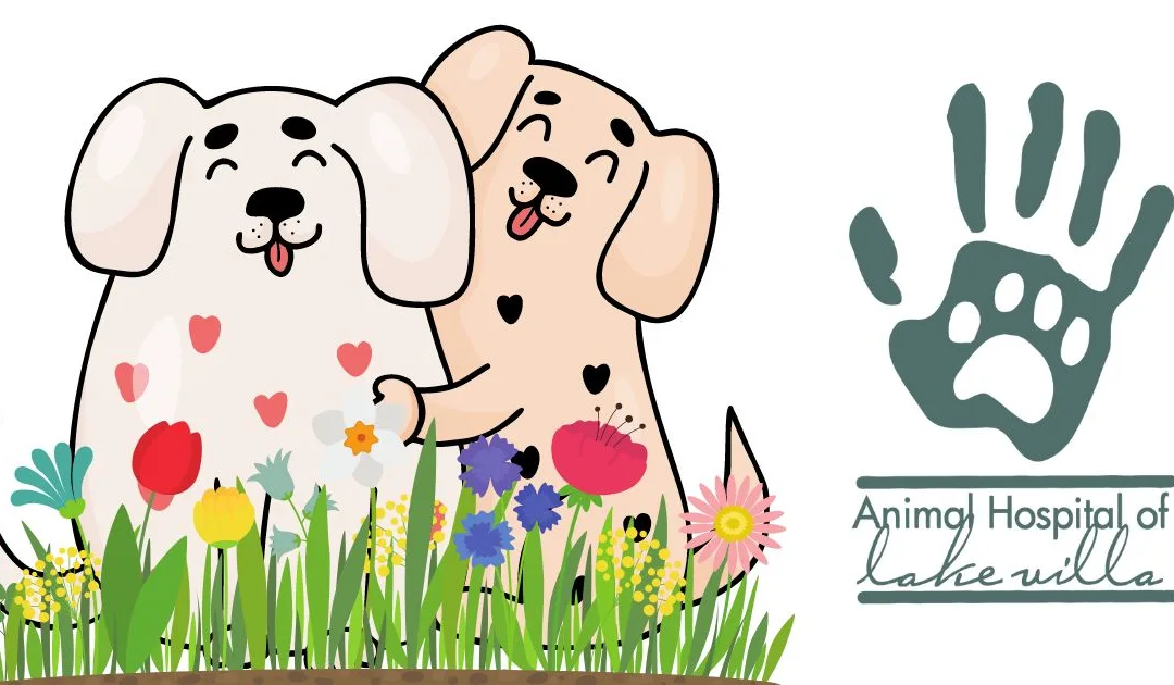Avoid a Spring Fling: Special Promotion at Animal Hospital of Lake Villa