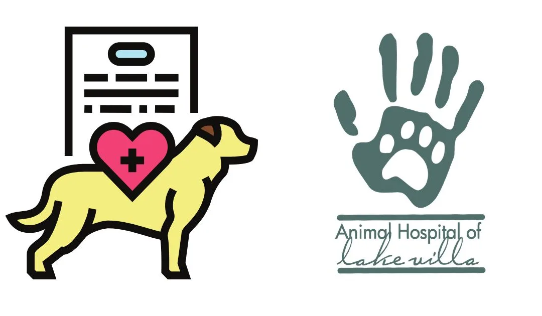 Heartworm Prevention Month: Protecting Our Furry Friends