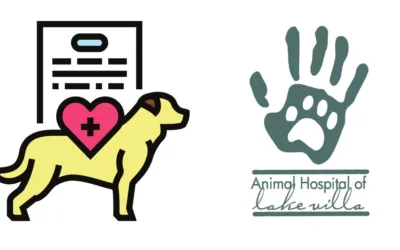 Heartworm Prevention Month: Protecting Our Furry Friends