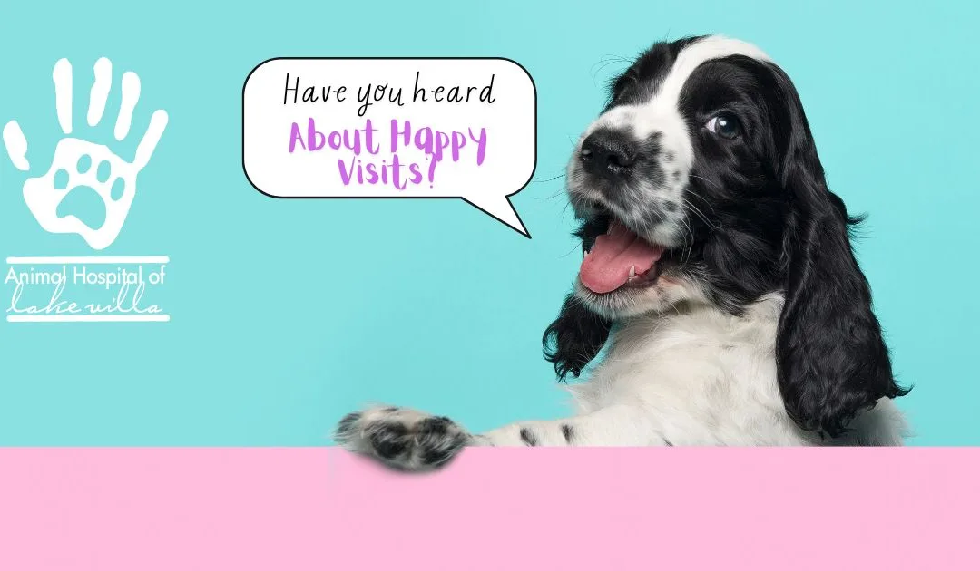Transforming Vet Care: Happy Visits at Animal Hospital of Lake Villa!