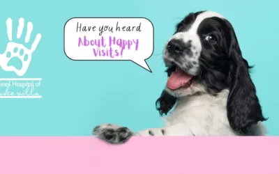 Transforming Vet Care: Happy Visits at Animal Hospital of Lake Villa!